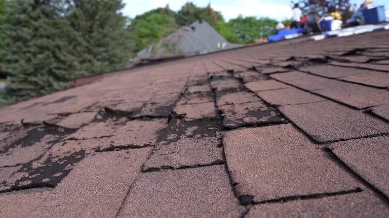 Best Roof Coating and Sealing  in Wilkshire Hills, OH